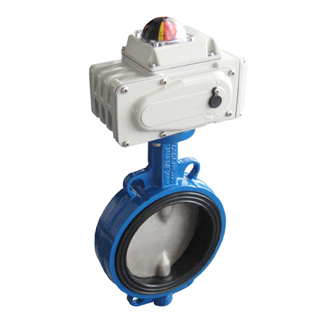 �綯���ߵ��� 